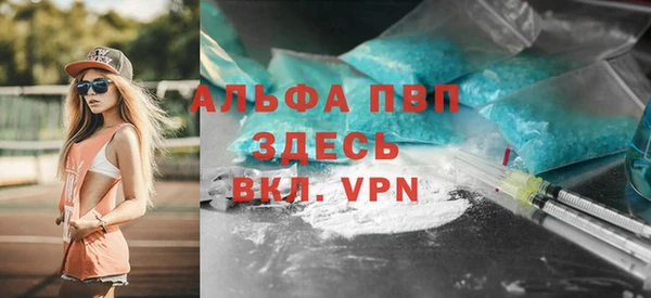 2c-b Новозыбков